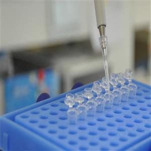 PCR Tubes